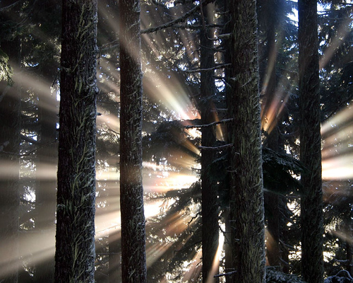 Sed eu libero non justo commodo mollis eget ac velit.